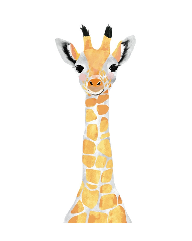 Baby Animal.Giraffe - 8" x 10" - White wood frame without mat - Image 0