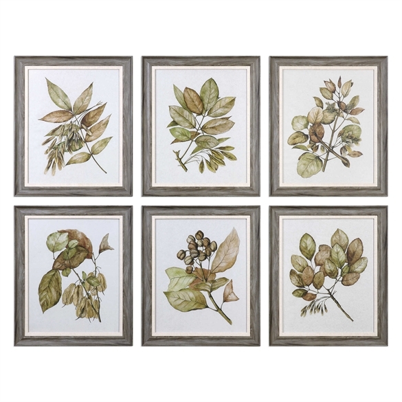 Seedlings - Set of 6 - 20" x 24" - Gray Frame - No Mat - Image 0