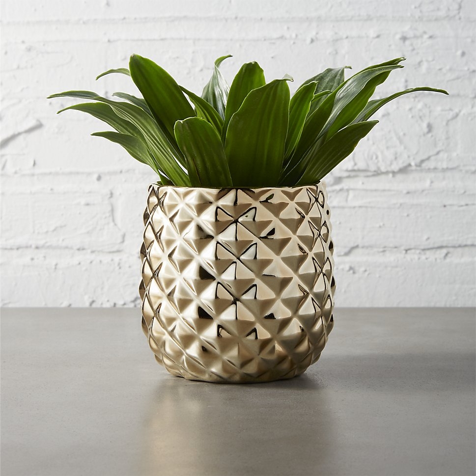 Colada pineapple vase-planter - Image 3
