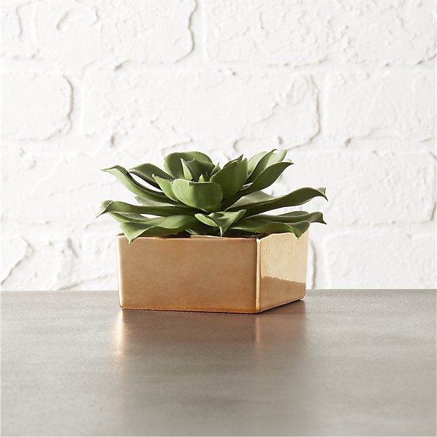 Potted succulent with copper pot - Image 1