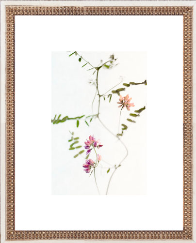 Mauve Tiny Flowers - 10" x 14" - White double bead wood frame with Mat - Image 0