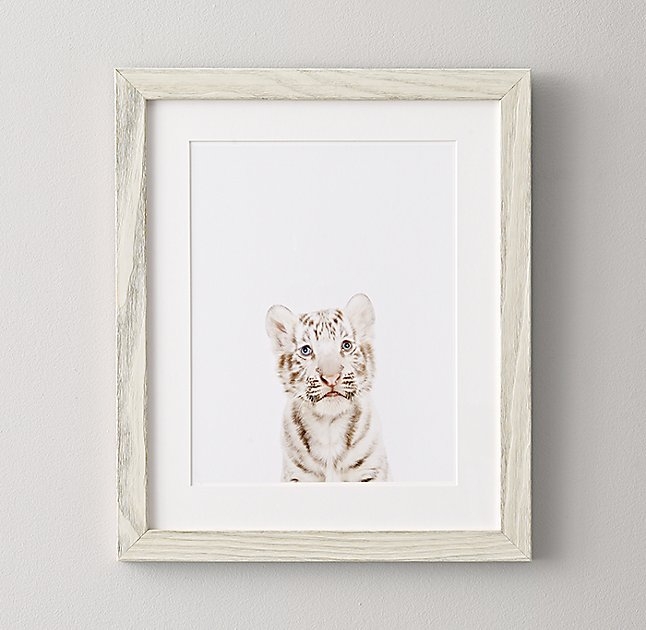BABY ANIMAL PORTRAIT - TIGER - 16"W x 19"H - White Frame - Image 0