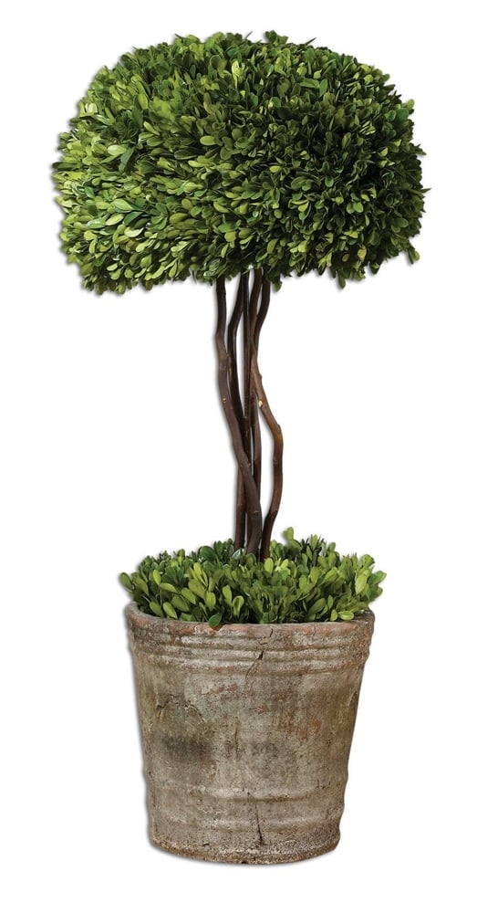 Preserved Boxwood, Tree Topiary - Image 0
