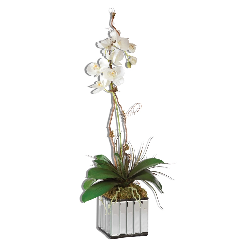 Kaleama Orchids, White - Image 0