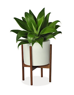 Case Study Planters with Walnut Stand - 13" diameter 20"h - Image 1