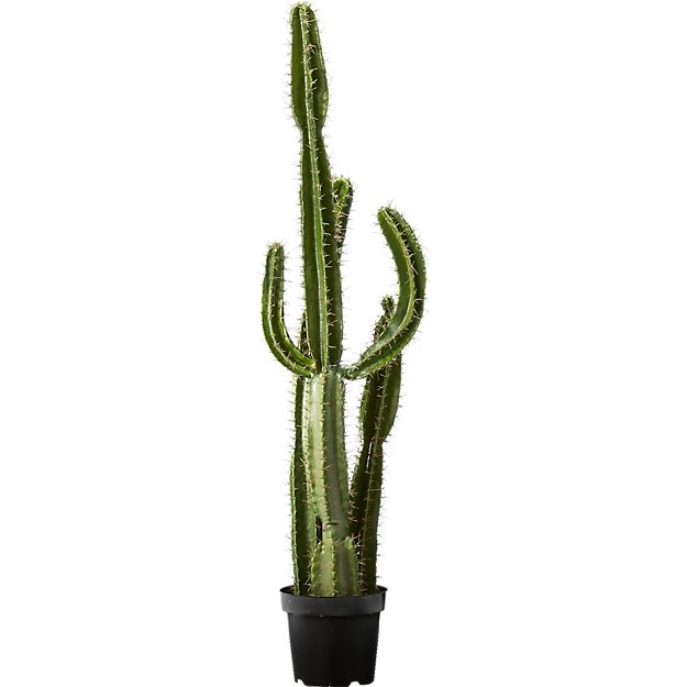 potted 60" cactus - Image 0