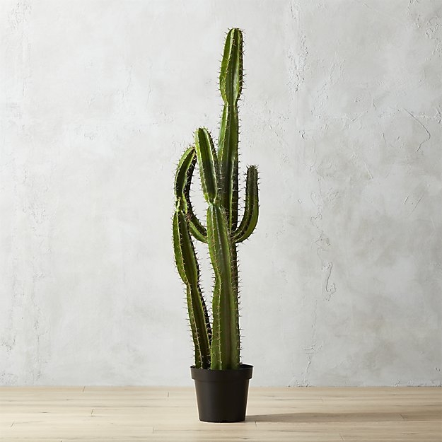 potted 60" cactus - Image 1