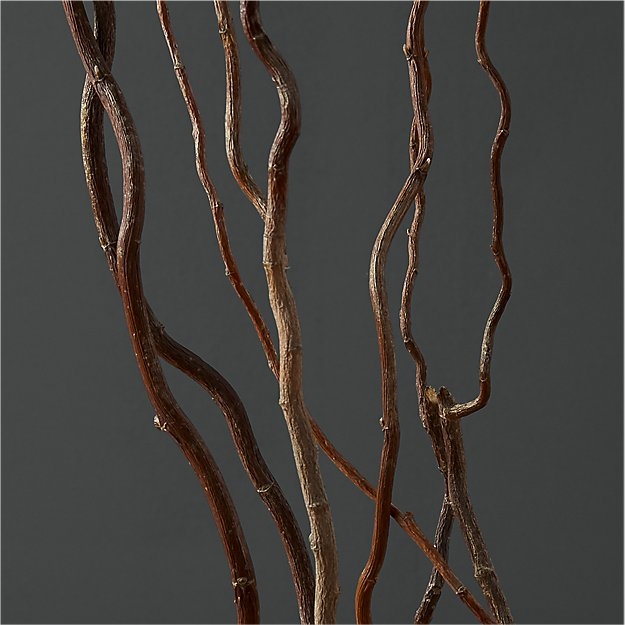 Curly willow branches - Image 2