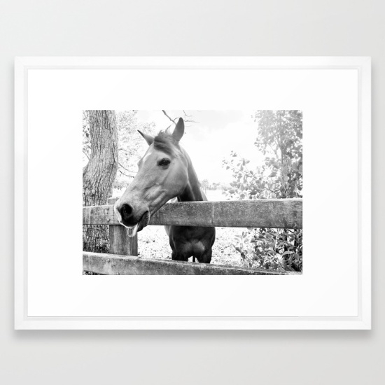 Cheeky Horse Art Print - 20" x 26" - Vector White Frame - Image 0