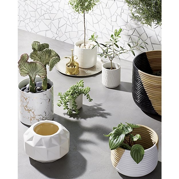 Bennie low vase-planter - Image 2