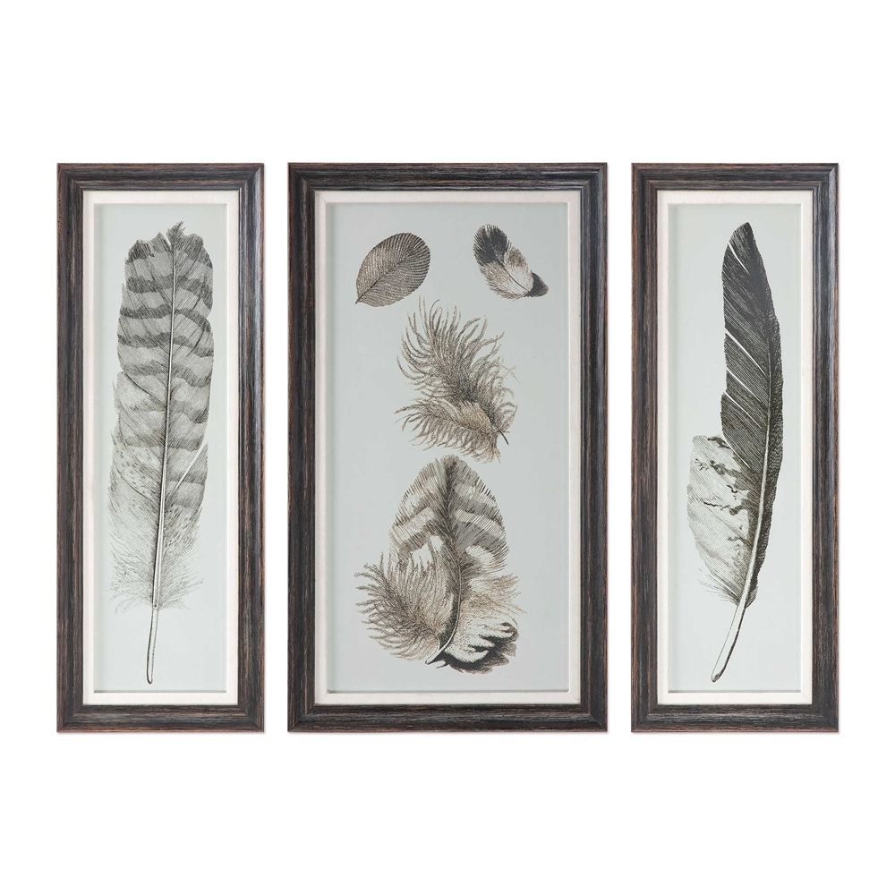Feather Study, S/3 - 12" x 32" - Framed - Image 0