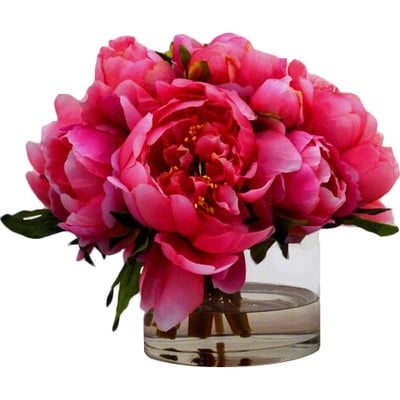 Peonies in Small Glass Cylinder - Image 0
