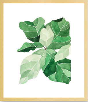 Fiddle Leaf Fig - 19x22" - Natural Smooth Veneer Frame with Matte - Image 0