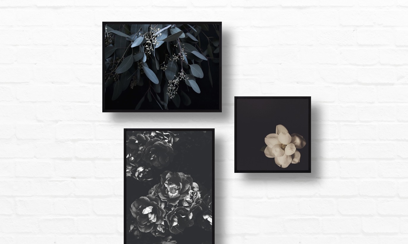 Blackened Blooms - Assorted sizes - Framed - No mat - Image 0