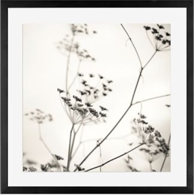 NATURE'S DRAWING FRAMED PRINT BY LUPEN GRAINNE - 25x25 - Mat - Black Wood Gallery Frame - Image 0