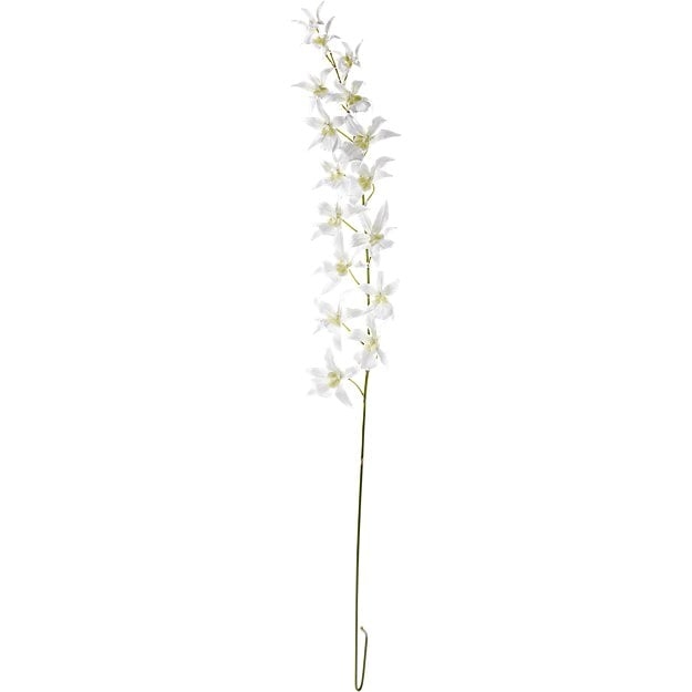 faux spider orchid stem - Image 0