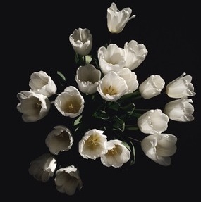 Floral 4 - 8" x 8" - Black Frame with no Mat - Image 0