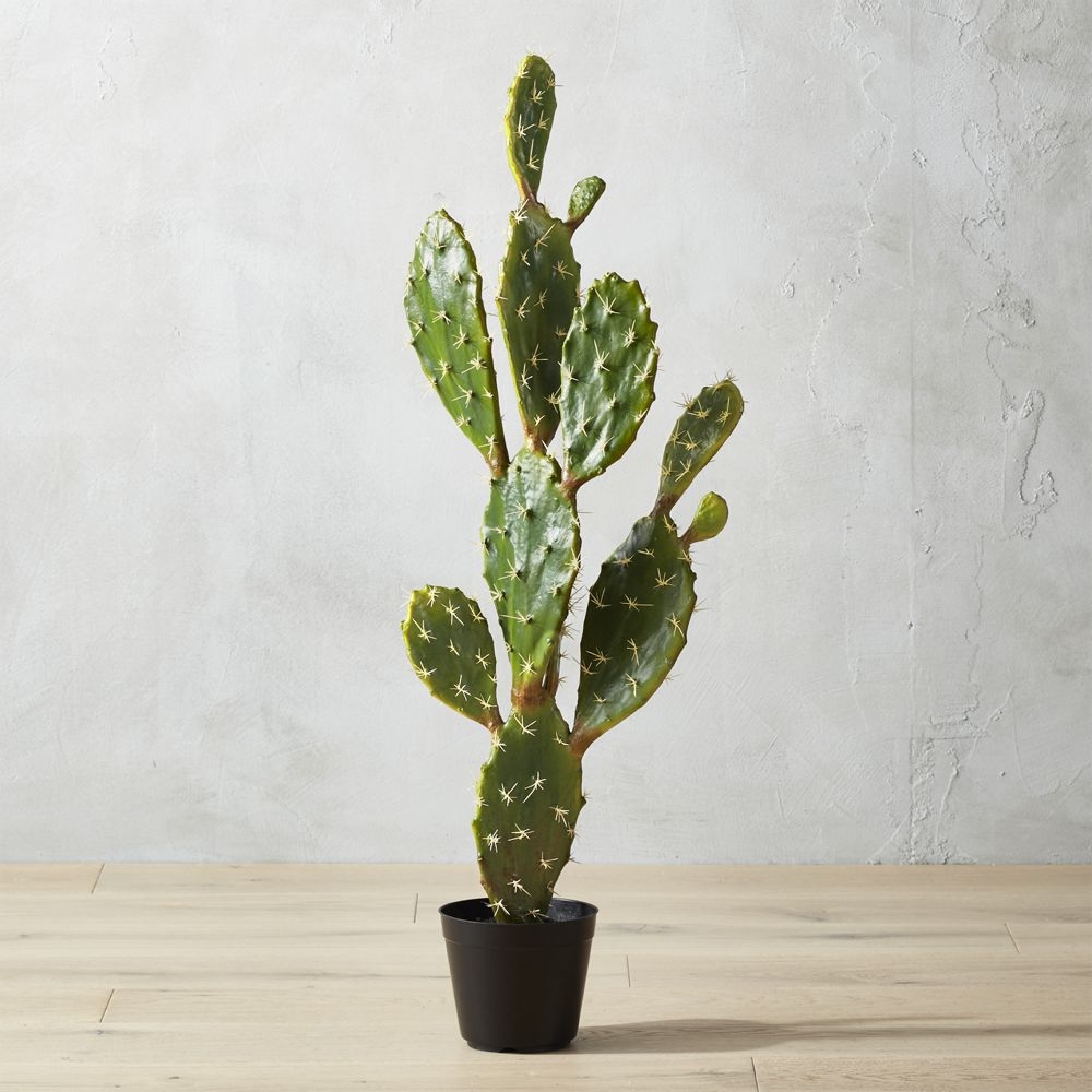 "potted 39"" prickly pear cactus" - Image 0