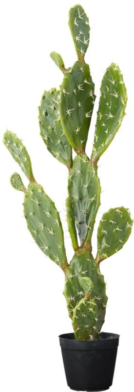 "potted 39"" prickly pear cactus" - Image 1