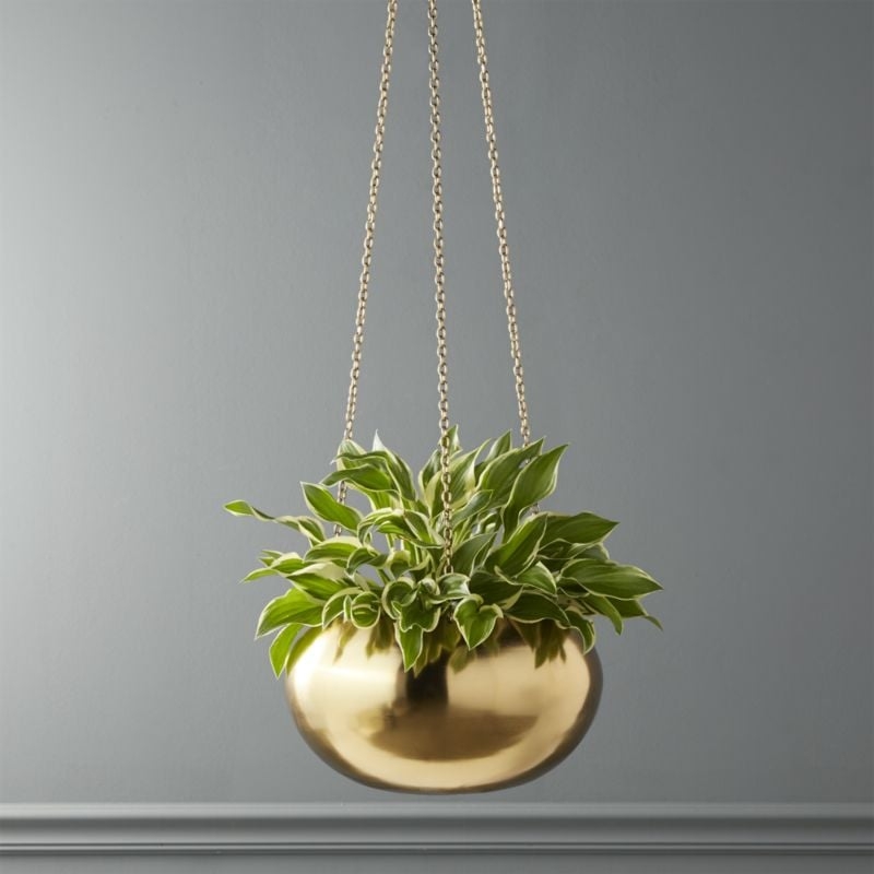 raj gold hanging planter - Image 5