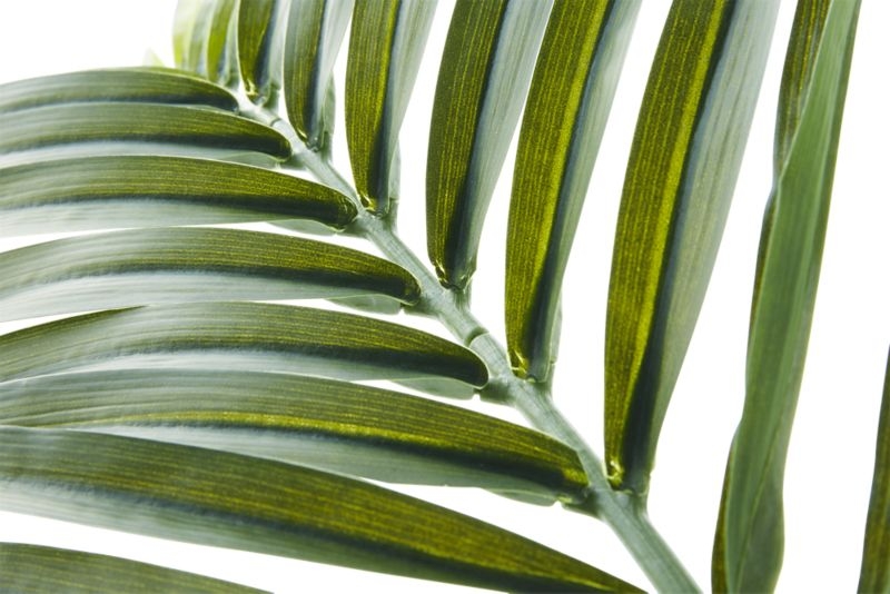 Faux Phoenix Palm Leaf 44" - Image 2