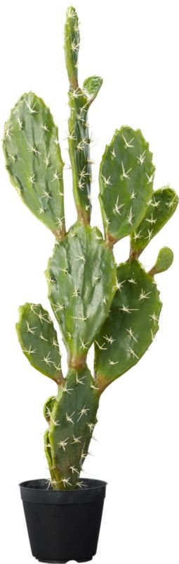 "potted 39"" prickly pear cactus" - Image 3