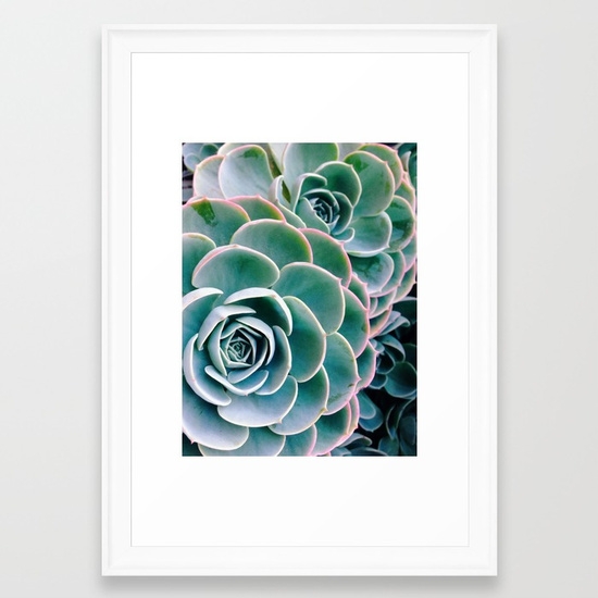 Succulents, White frame, 14"x16.5" - Image 1