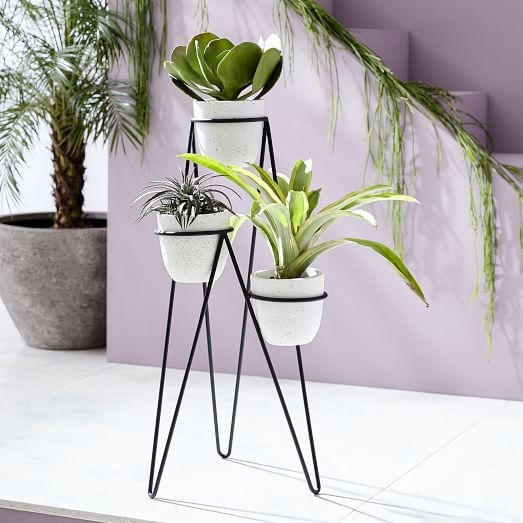 Iris Planter + Chevron Stand - Triple - Image 0