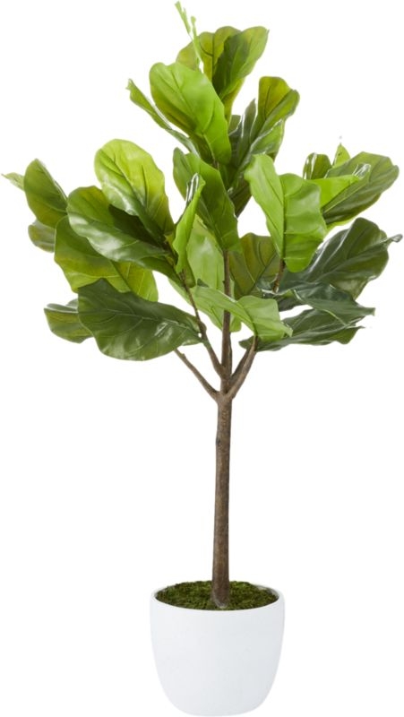 Potted Faux Fiddle Leaf Fig 5' - Image 0