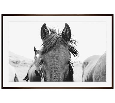 Hello There Framed Print by Jennifer Meyers, 28x42", Wood Gallery Frame, Espresso, No Mat - Image 1