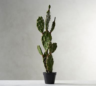 Faux Potted Opuntia Cactus - Large - Image 1