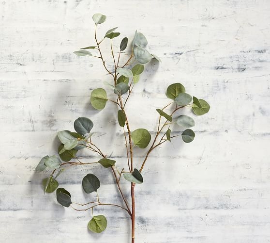 Faux Silver Dollar Eucalyptus Branch - Image 0