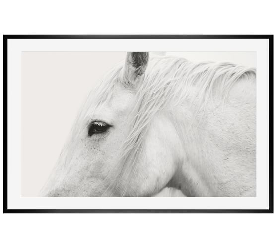 WHITE HORSE FRAMED PRINT  42 X 28" BY JENNIFER MEYERS-black distressed frame with mat - Image 0