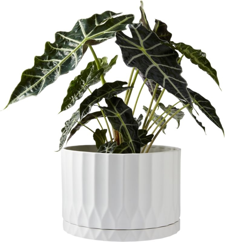drum white planter - Image 5