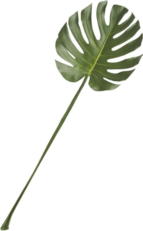 monstera leaf - Image 1