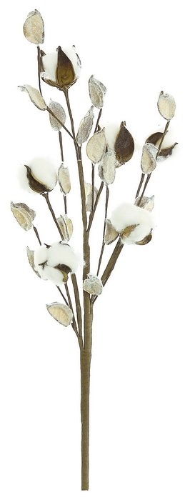 White Cotton Stem - Set of 2 - Image 0