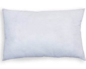 Pillow Insert 10" x 18" Feather Down - Image 0