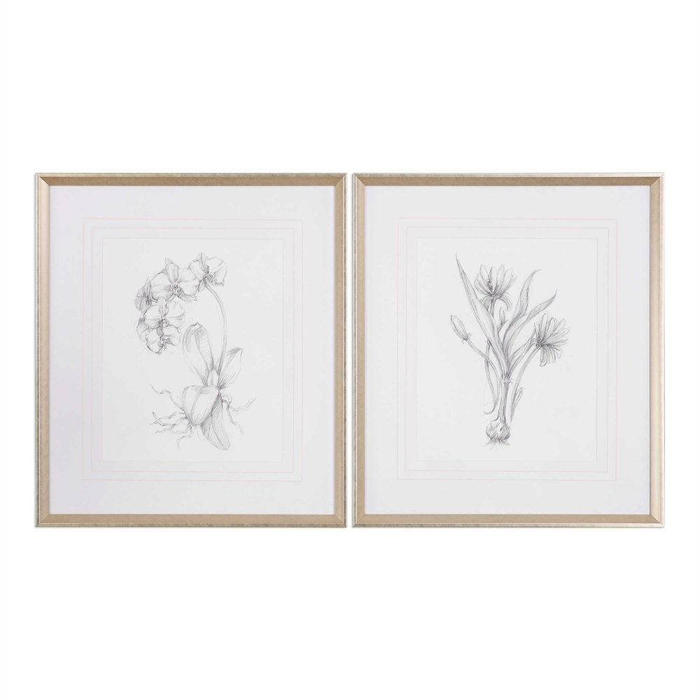 Botanical Sketches, S/2 - 28" x 32" - Silver/Taupe Frame with Mat - Image 0
