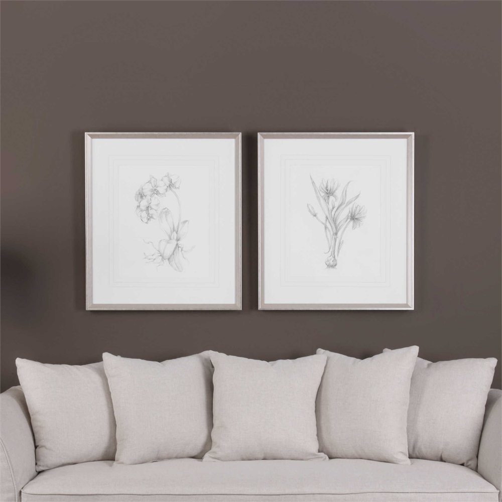 Botanical Sketches, S/2 - 28" x 32" - Silver/Taupe Frame with Mat - Image 1