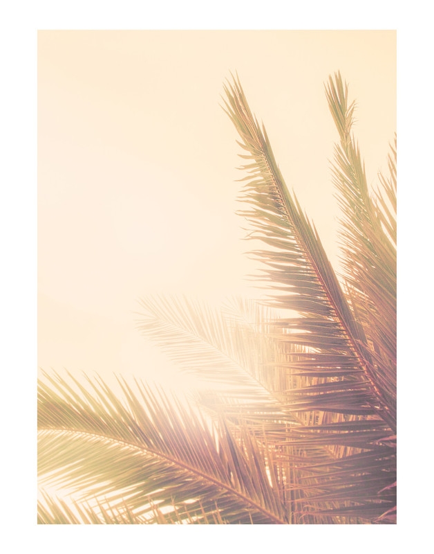 Golden Palm Tree- 18â€ x 24â€-Framed - Image 1