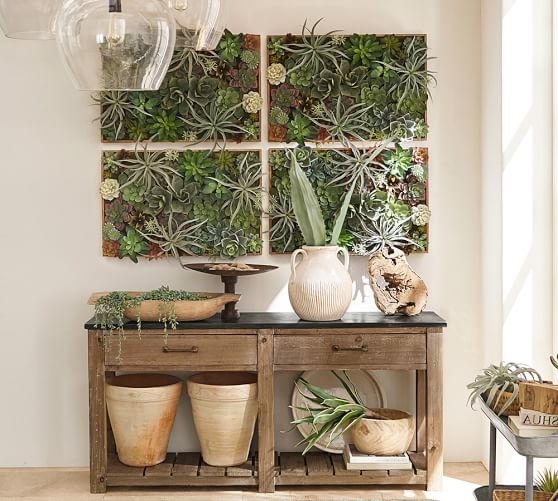 SUCCULENT WALL - Faux - Image 1