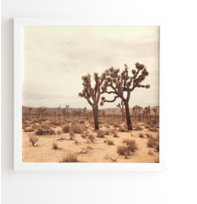 California Joshua Trees Framed Art Print - 30"x30, Basic White Frame - Image 0