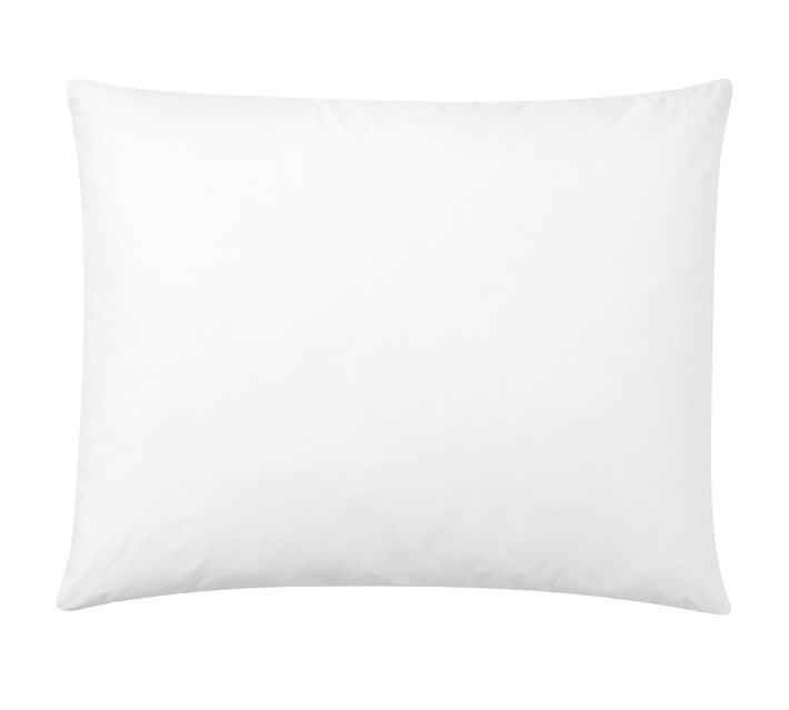 Feather Pillow Insert 20 x 30 - Image 0