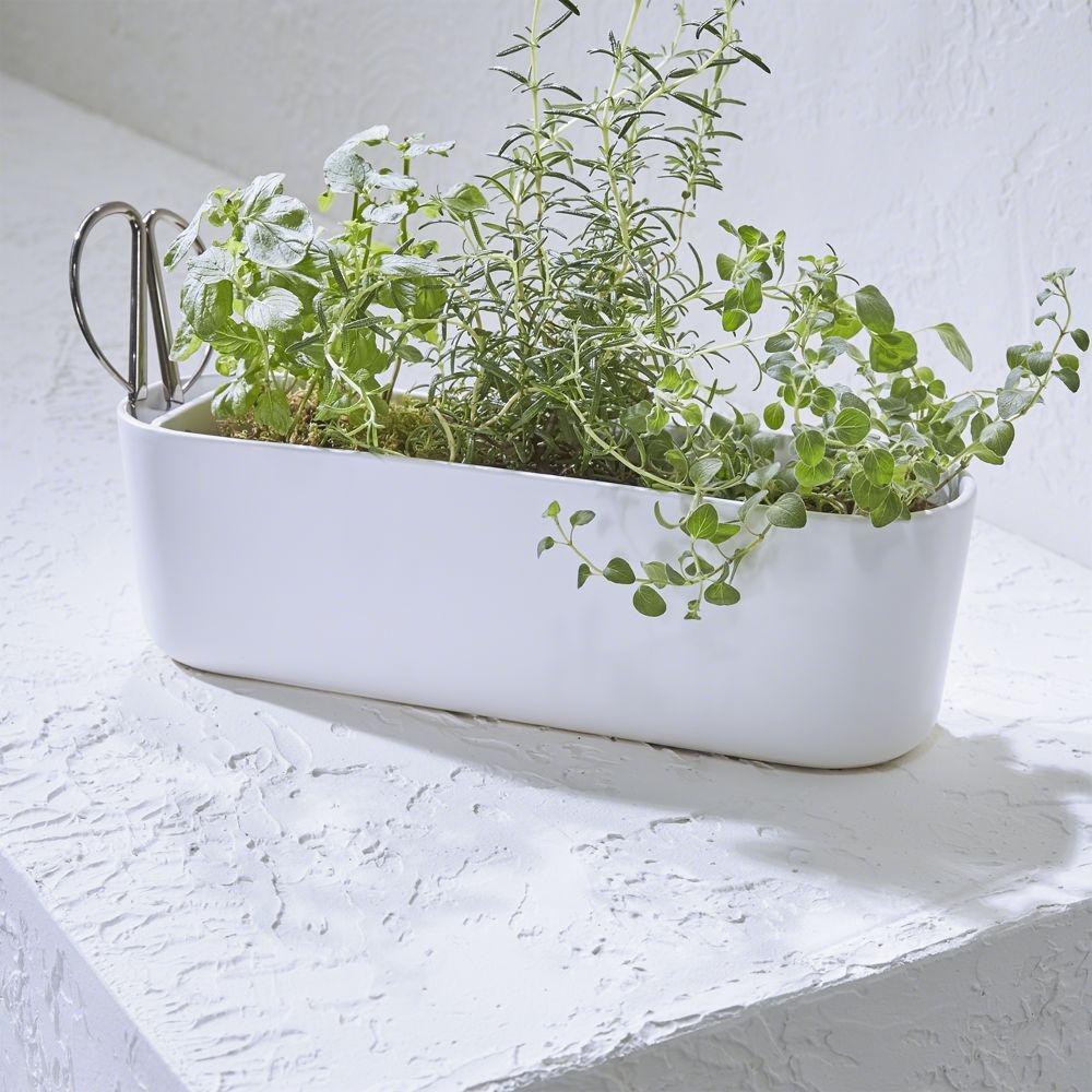 Indoor/Outdoor Herb Planter with Scissors - Image 0