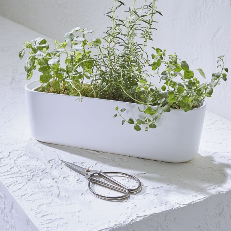 Indoor/Outdoor Herb Planter with Scissors - Image 3