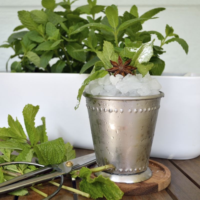 Indoor/Outdoor Herb Planter with Scissors - Image 6