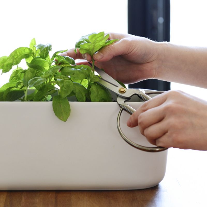 Indoor/Outdoor Herb Planter with Scissors - Image 8