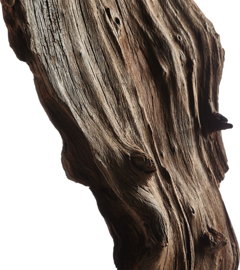 Root Sculpture - Image 6