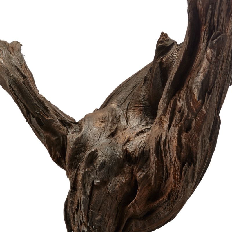 Root Sculpture - Image 7