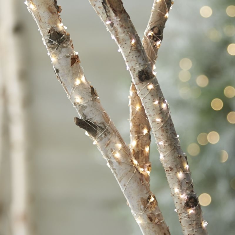 Twinkle Silver 30' Outdoor String Lights - Image 1